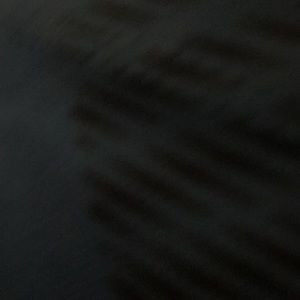 Meet your Posher, Isaiah